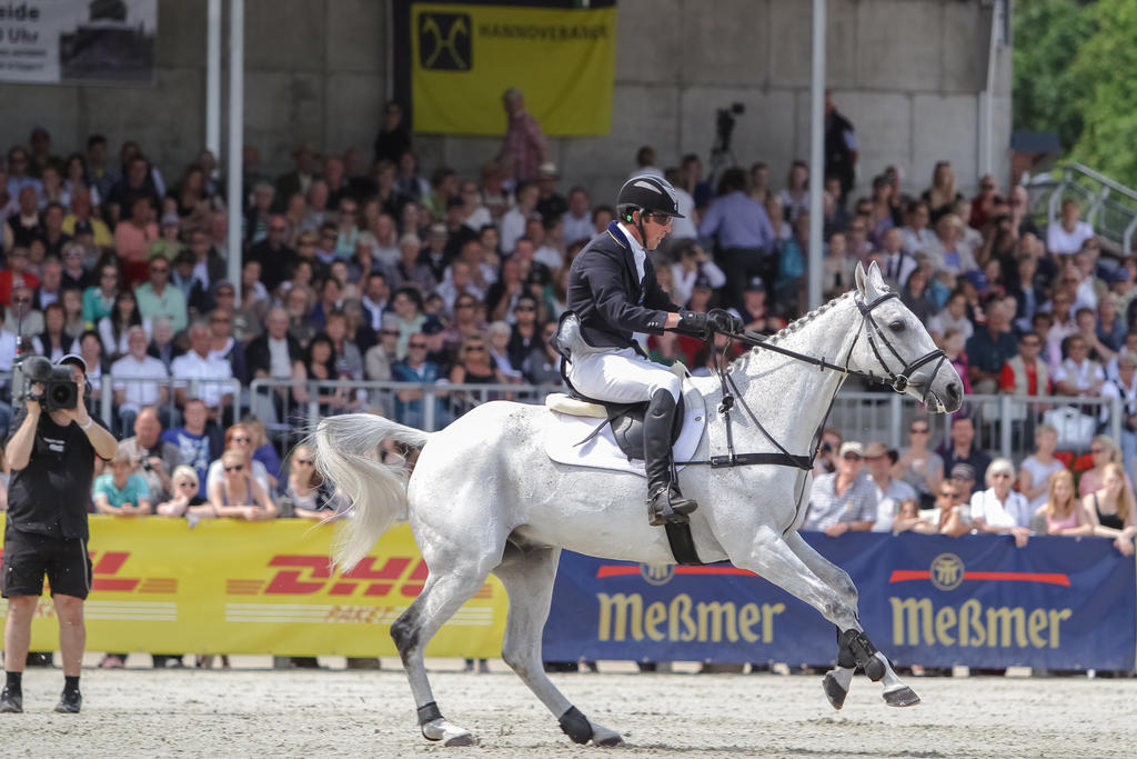 Show Jumping Harley Davidson Style Stock 73