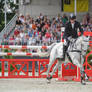 3DE Show Jumping Phase Stock 71