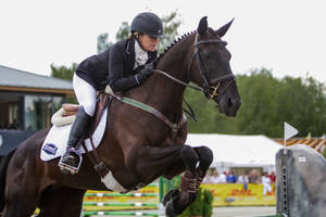 3DE Show Jumping Phase Stock 37