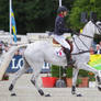 Fleabitten Grey Mare 3DE Show Jumping 6