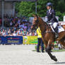 Irish Sport Horse Show Jumping