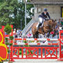 Irish Sport Horse Show Jumping