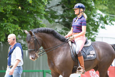 Unusual Colored Dressage Stallion