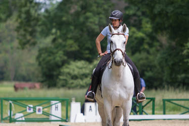 Dressage Training Short Break