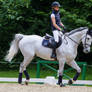 Grey Horse Warmup for Showjumping