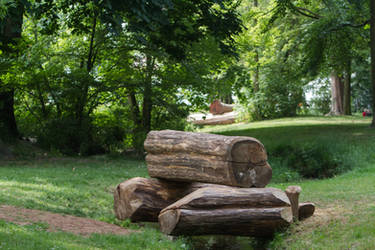 Log Fence over Ditch