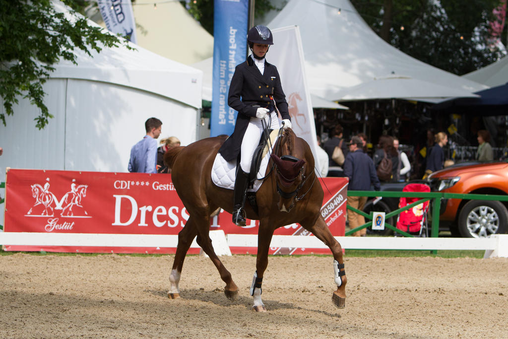 Warmup Dressage International Competition by LuDa-Stock