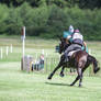 Cross Country Track Highspeed Galopp Backview 1