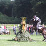 Cross Country Track Equine Brush Jump 2