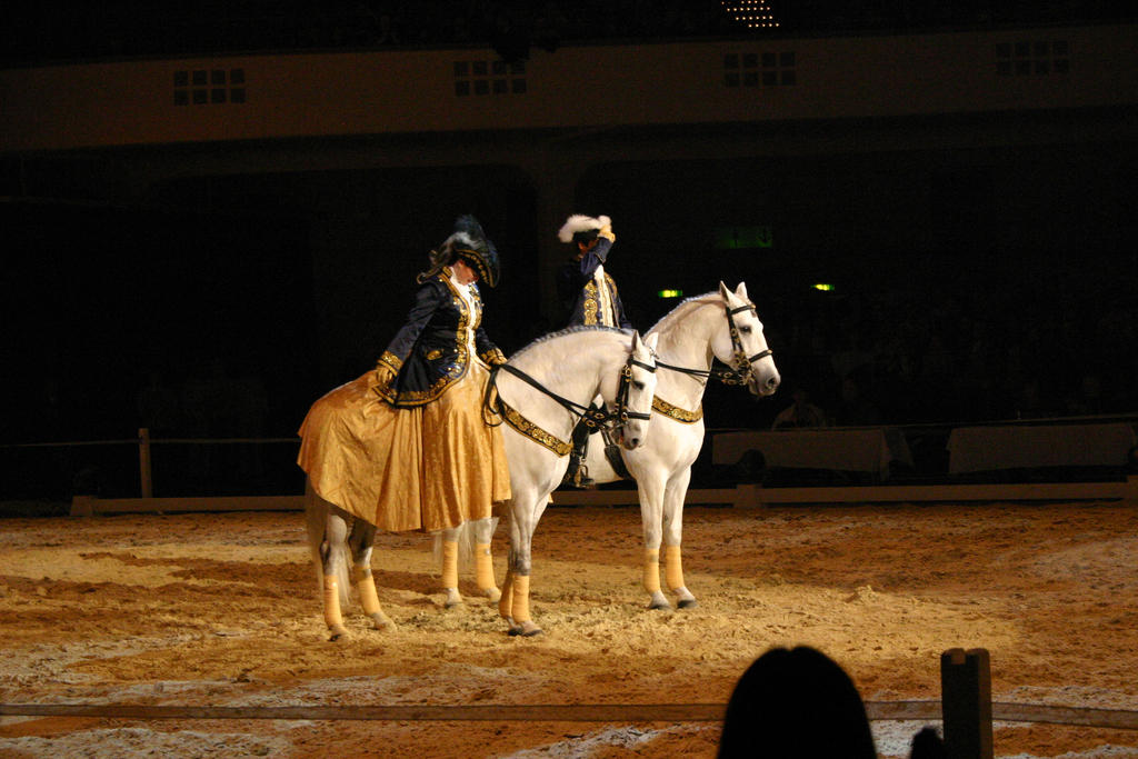 Baroque Pas de Deux Horse Riding Stock