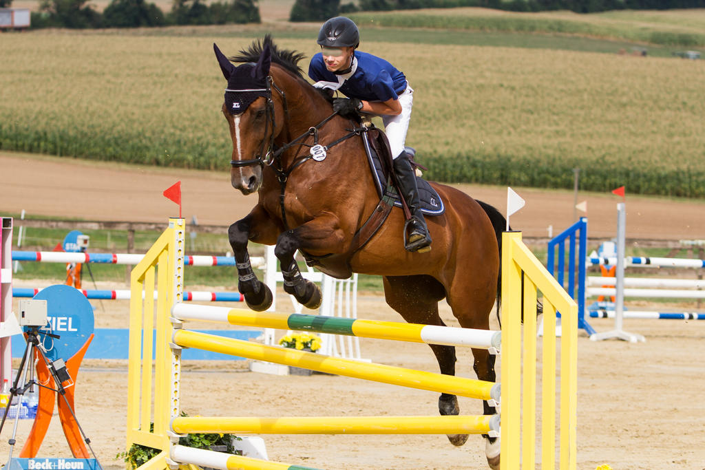 Level 5 Showjumping - L-Springen 57