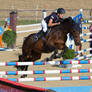 Level 5 Showjumping - L-Springen 39