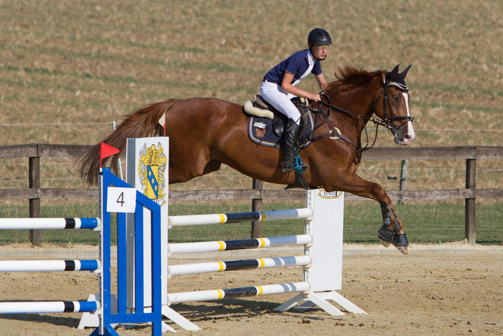 Level 5 Showjumping - L-Springen 27