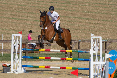 Level 5 Showjumping - L-Springen 18