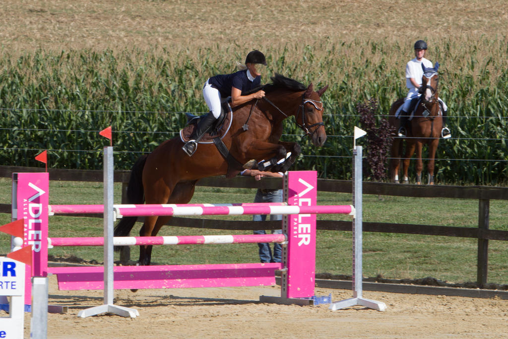 Level 5 Showjumping - L-Springen 11