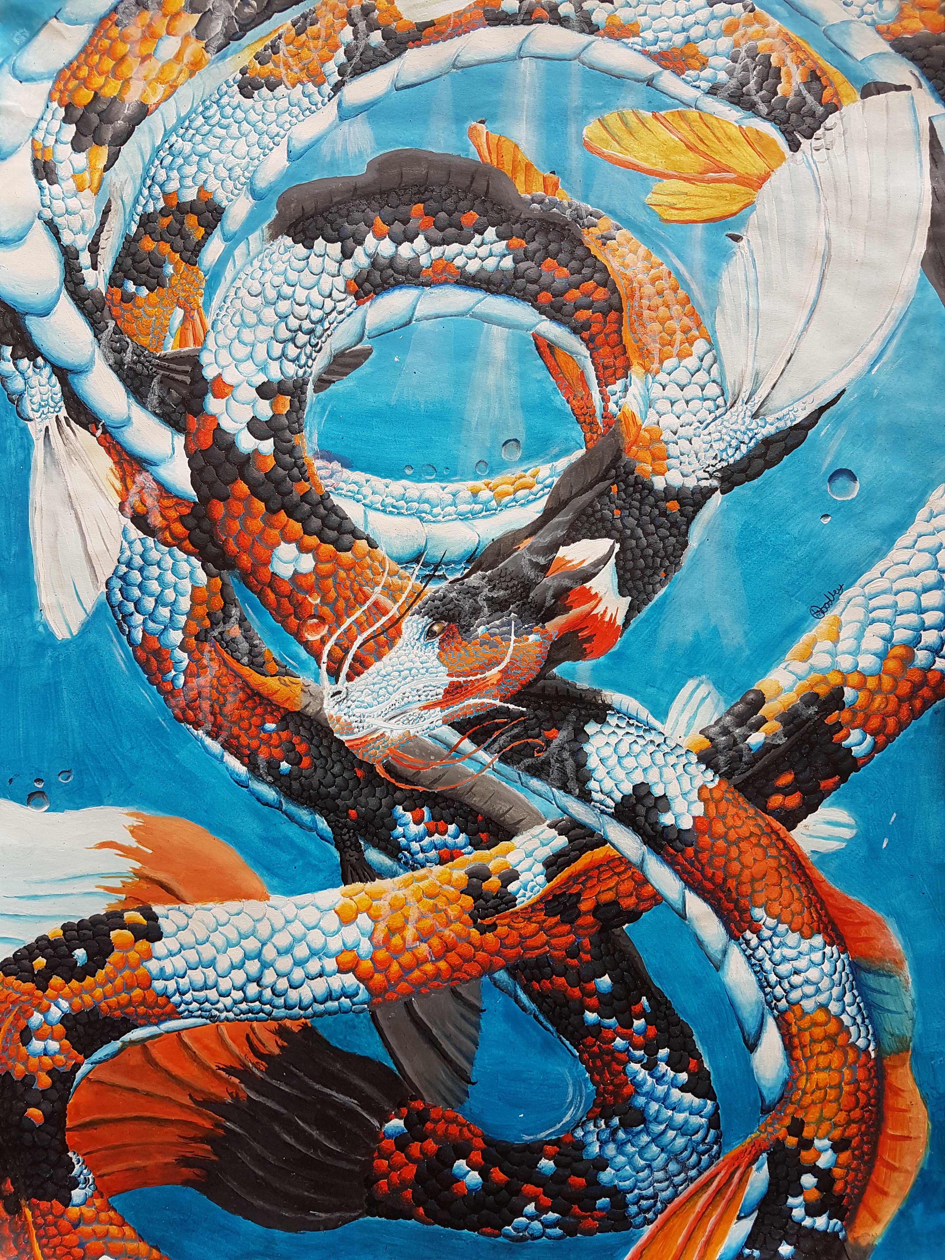 Koi Dragon
