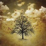 Autumn by error-23