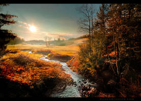 Monongahela Stream Sunrise