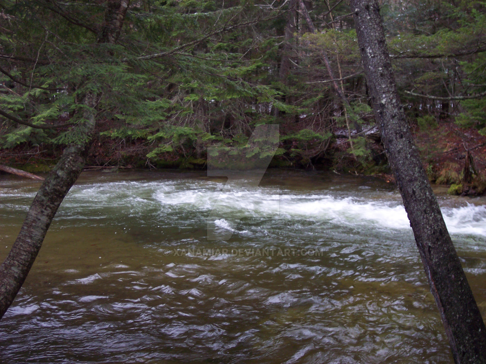 Basin Creak