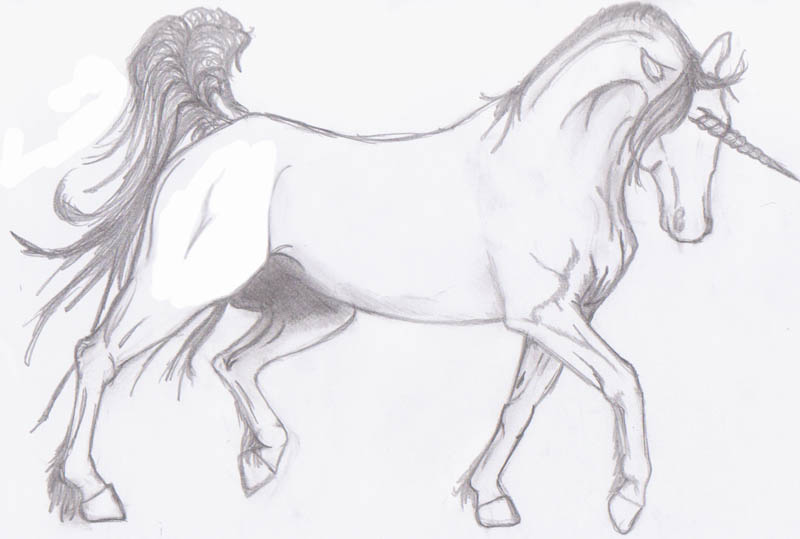 Pencil Unicorn By Loukri On Deviantart