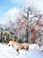 Winter Scene at the keep