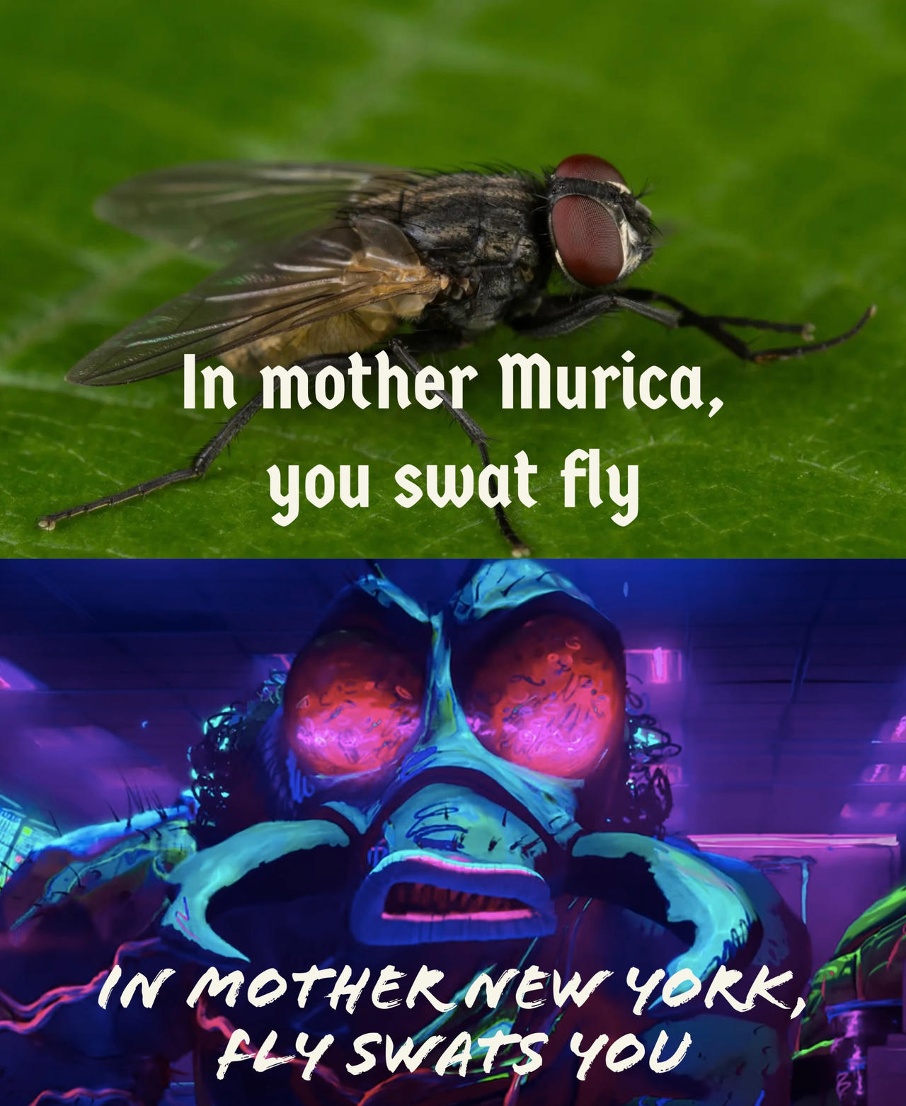 Bug Getting Swated Swatting Flies Meme by SuperMemeMaker5 on DeviantArt