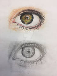 Eye Studies