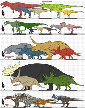 Broncosaurus Rex: Set 1