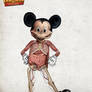 Mickey's anatomy
