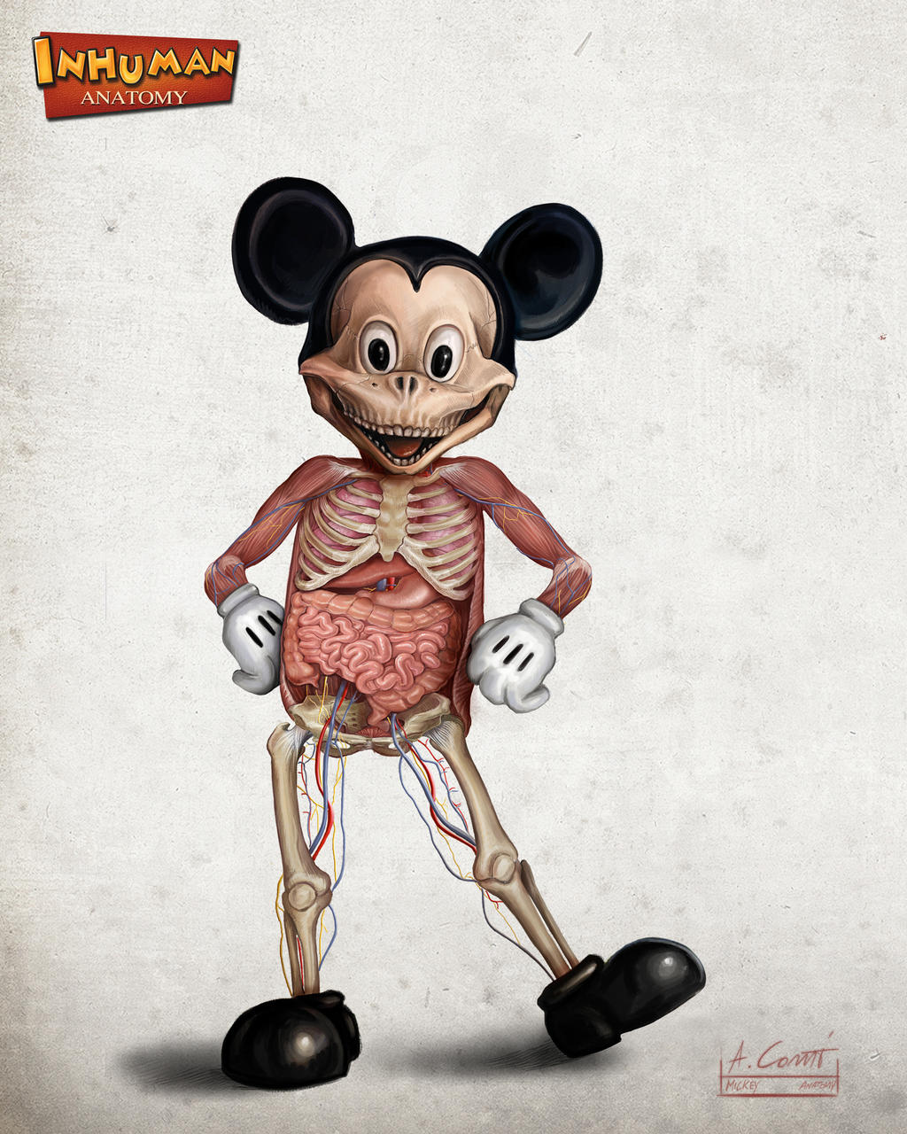 Mickey's anatomy