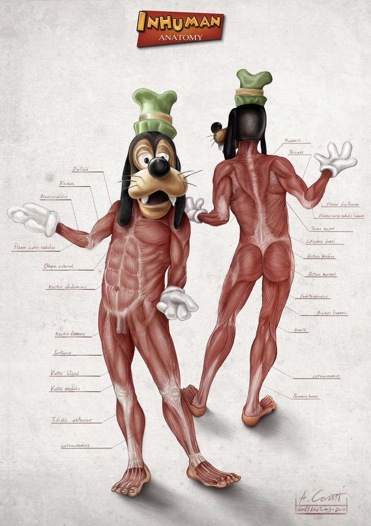 Goofy's Anatomy by AlessandroConti