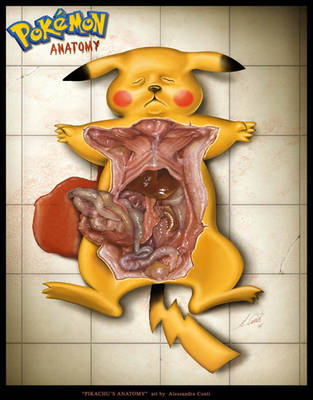 Pikachu's Anatomy by AlessandroConti