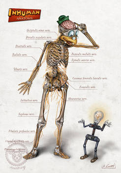 INHUMAN ANATOMY (series 2) Gyro's anatomy