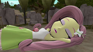 GTS Fluttershy and Kirby Sleeping