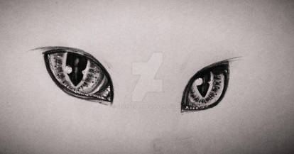 CAT Eyes (W.I.P.)