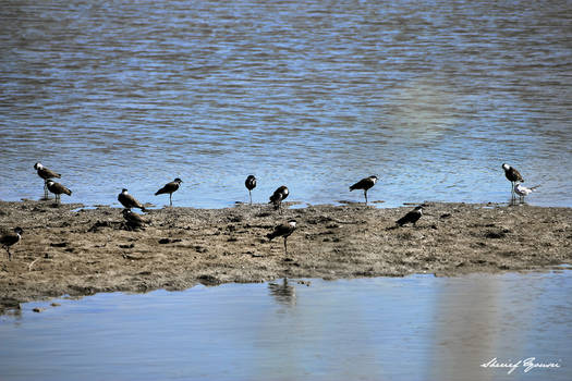 Beyoum Lake