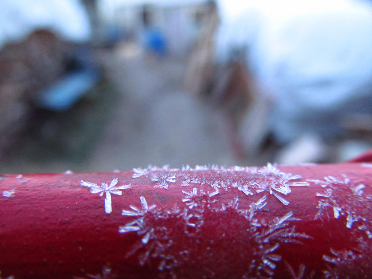 Hoar frost