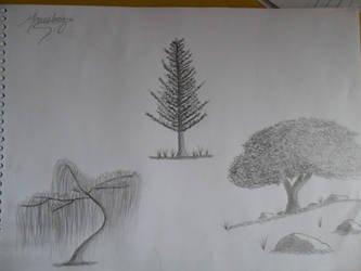 Trees