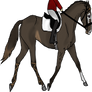 Xyla Trotting-Tag
