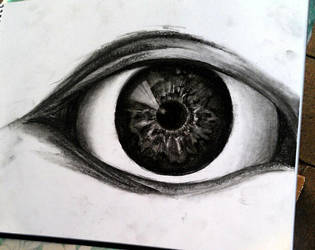 Eye