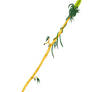 Javelin of Chislev