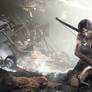 Lara Croft wallpaper 4