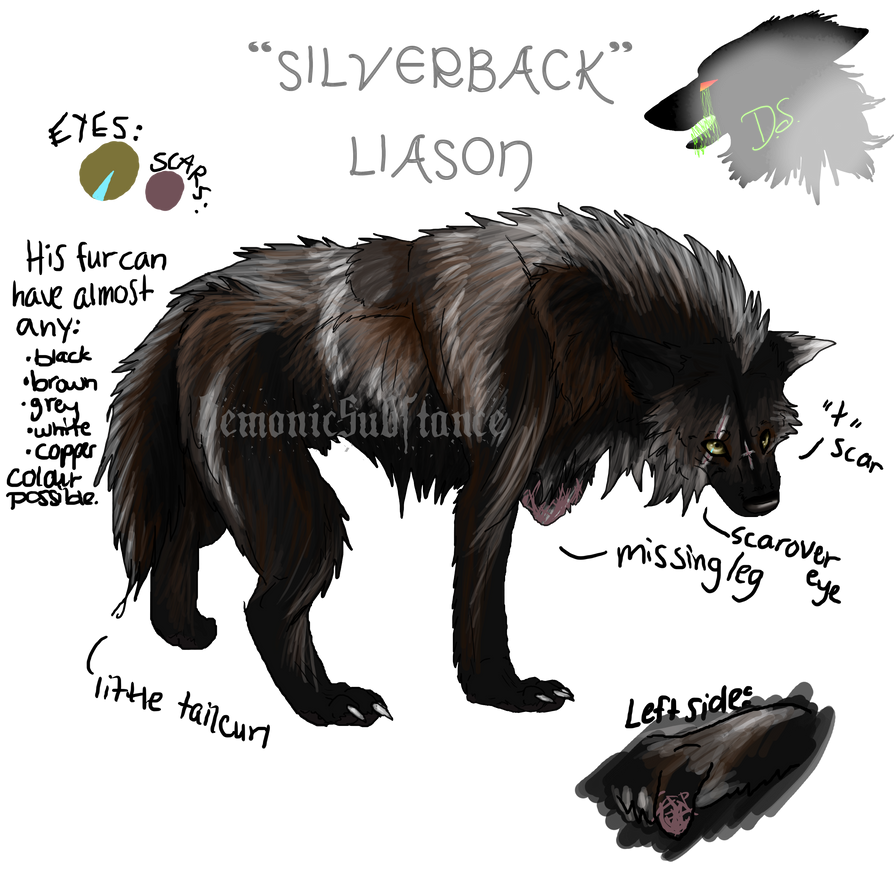 Reference Sheet: Silverback by DemonicSubstance on DeviantArt