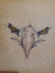 WIP Bald Eagle