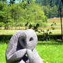 Pumice Creature