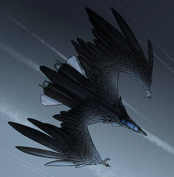 Not a pretty birdie (winged jet)