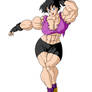 Commission: Videl Colored