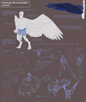 Winged Humanoid: Part 4