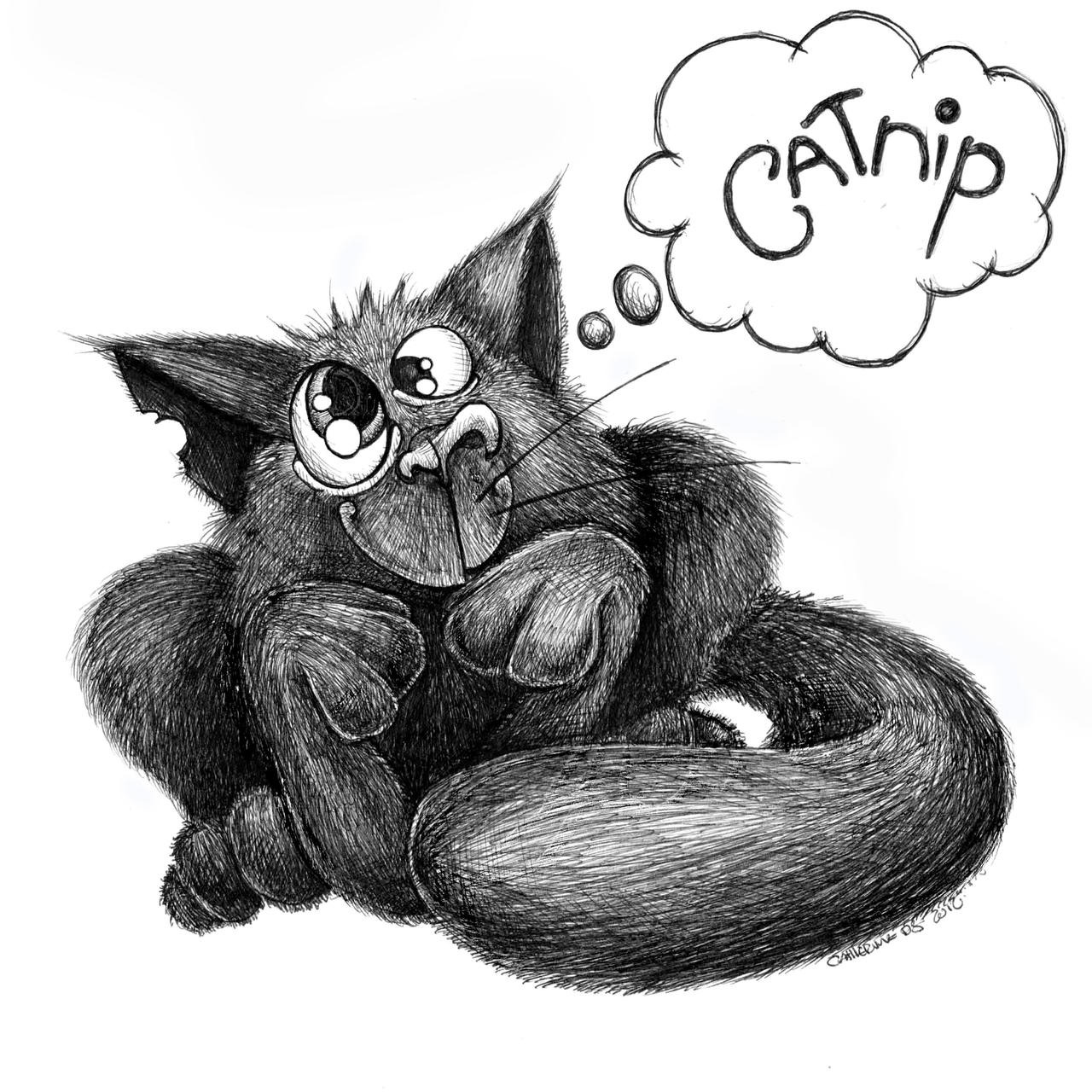 Cat Nip By Charmeddesigns On DeviantArt