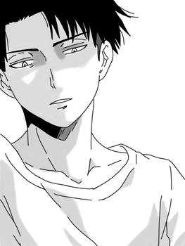 ~Aot~ Levi!!